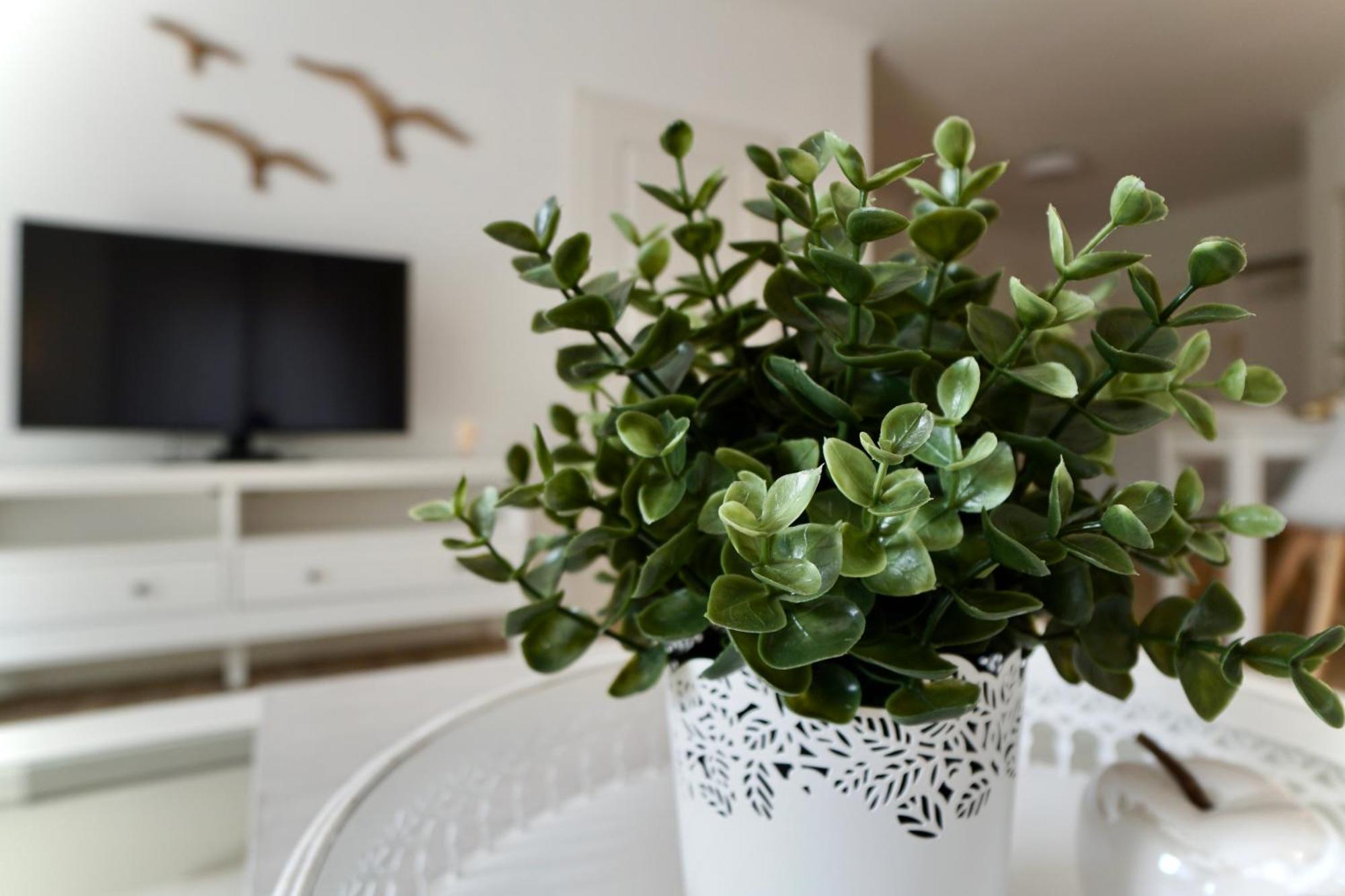 Myhome Ruegen - Haus Sonnenmeer Sellin  Стая снимка
